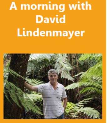 David Lindermyer