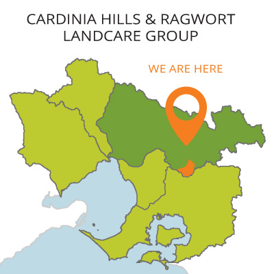cardinia hills ragwort map
